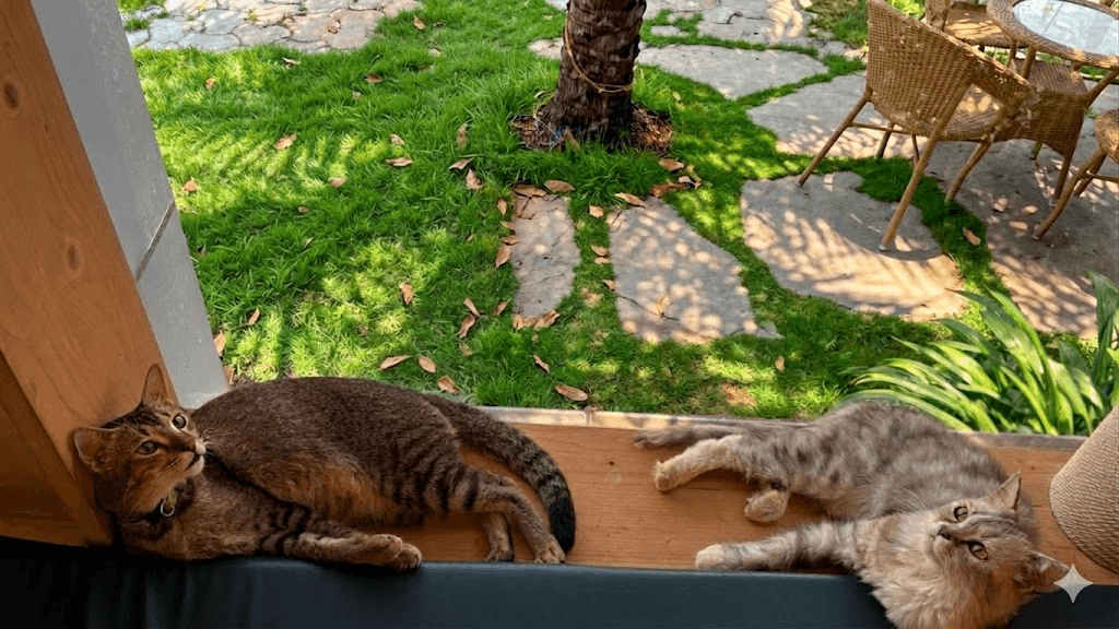 Cozy interior of Ubasti Cat Cafe